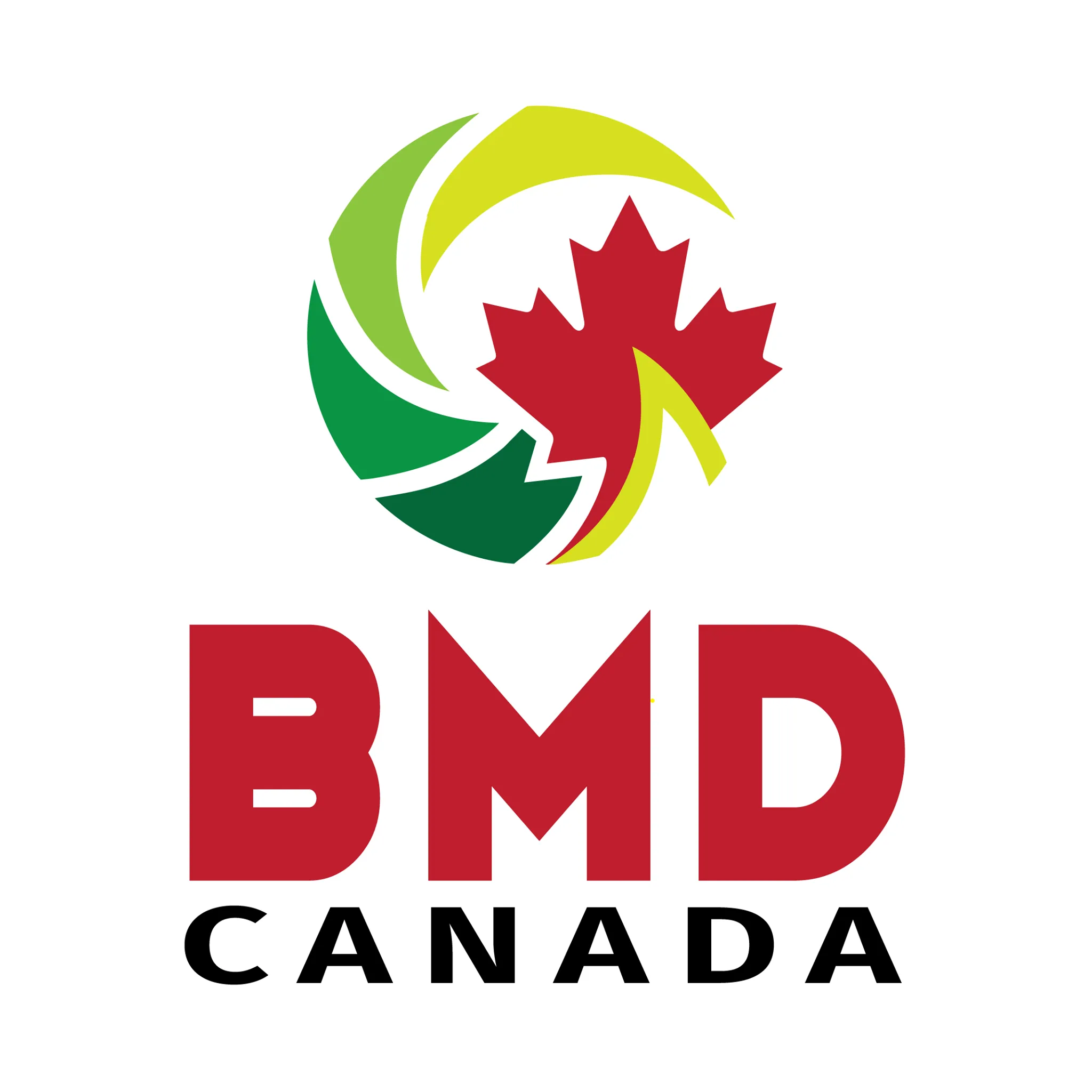 Logo Groupe BMD Canada